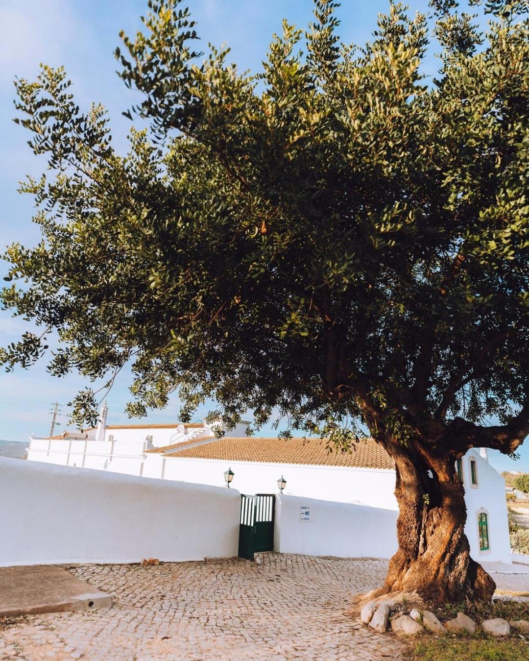 Cerca Velha - Country House Albufeira Ngoại thất bức ảnh