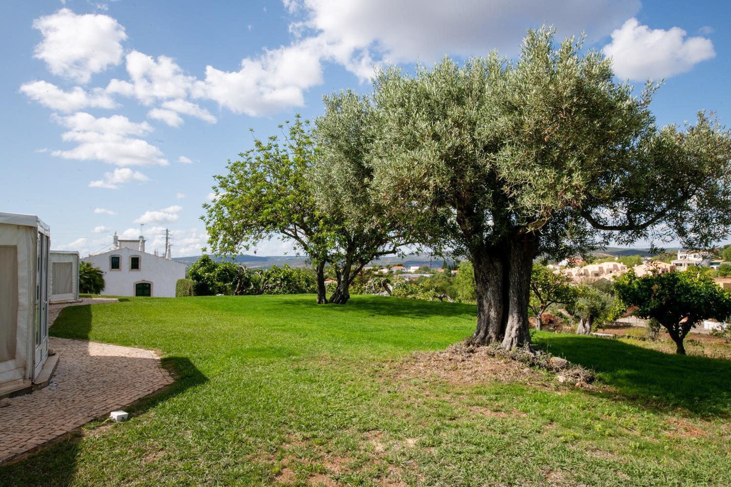 Cerca Velha - Country House Albufeira Ngoại thất bức ảnh